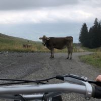 aktivwochenende-2018_0216_2018-09-15_15-29-41.jpg